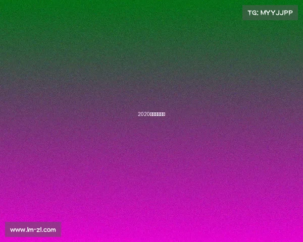 2020厦马参赛人数